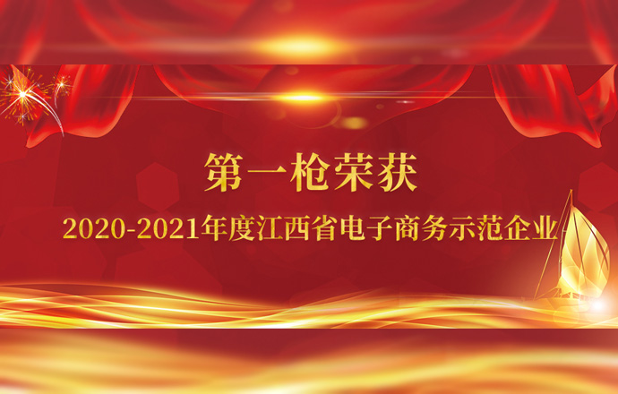 第一枪荣获“2020-2021年度江西省电子商务示范企业”称号