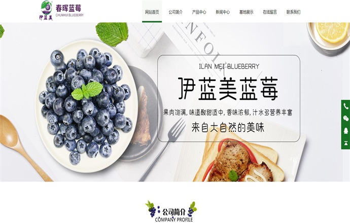 春晖蓝莓